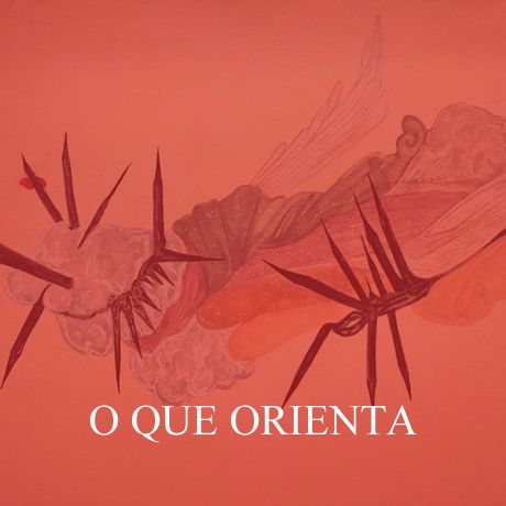 O QUE ORIENTA